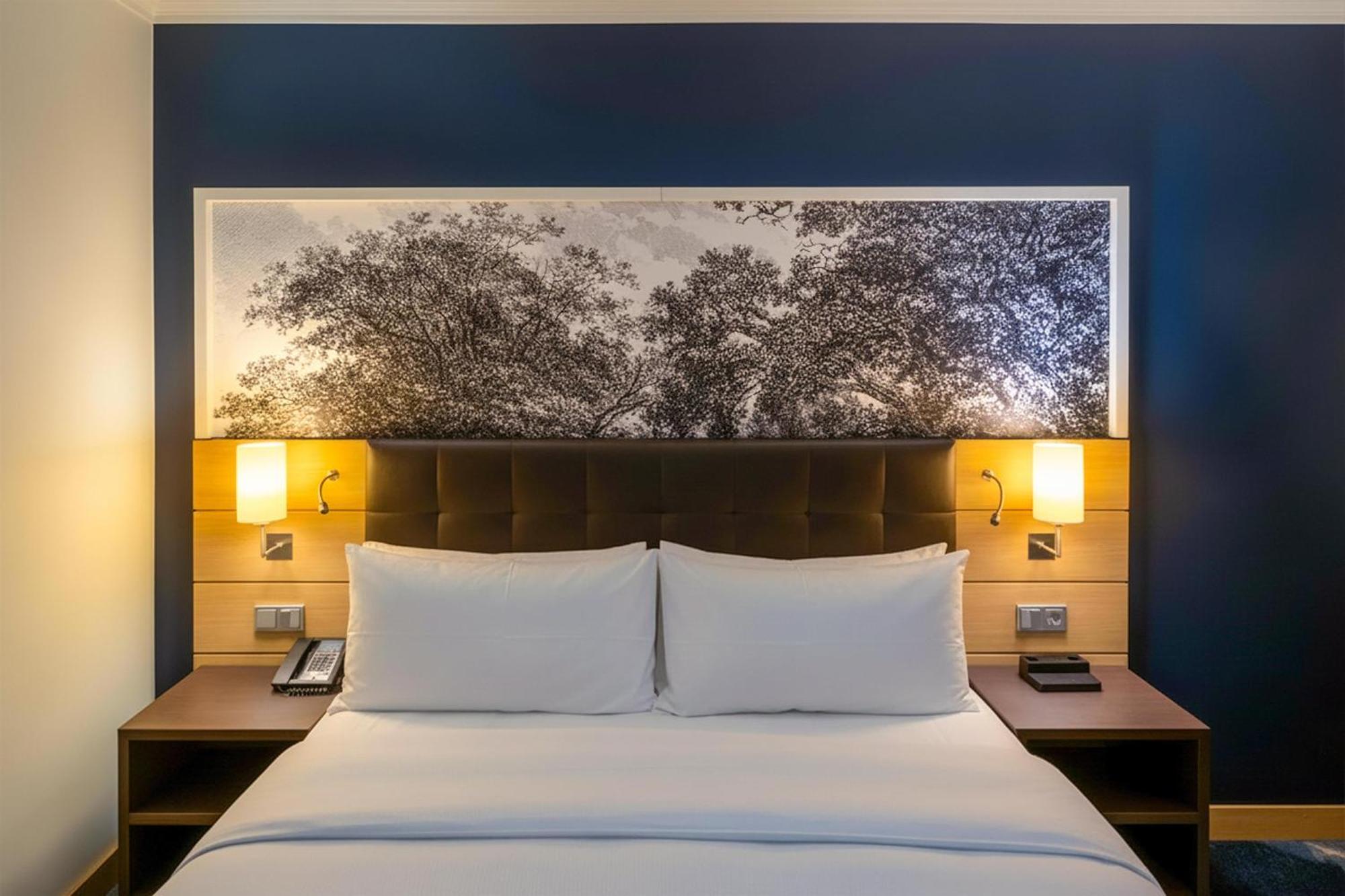 King Deluxe Room City View Rhine Wing